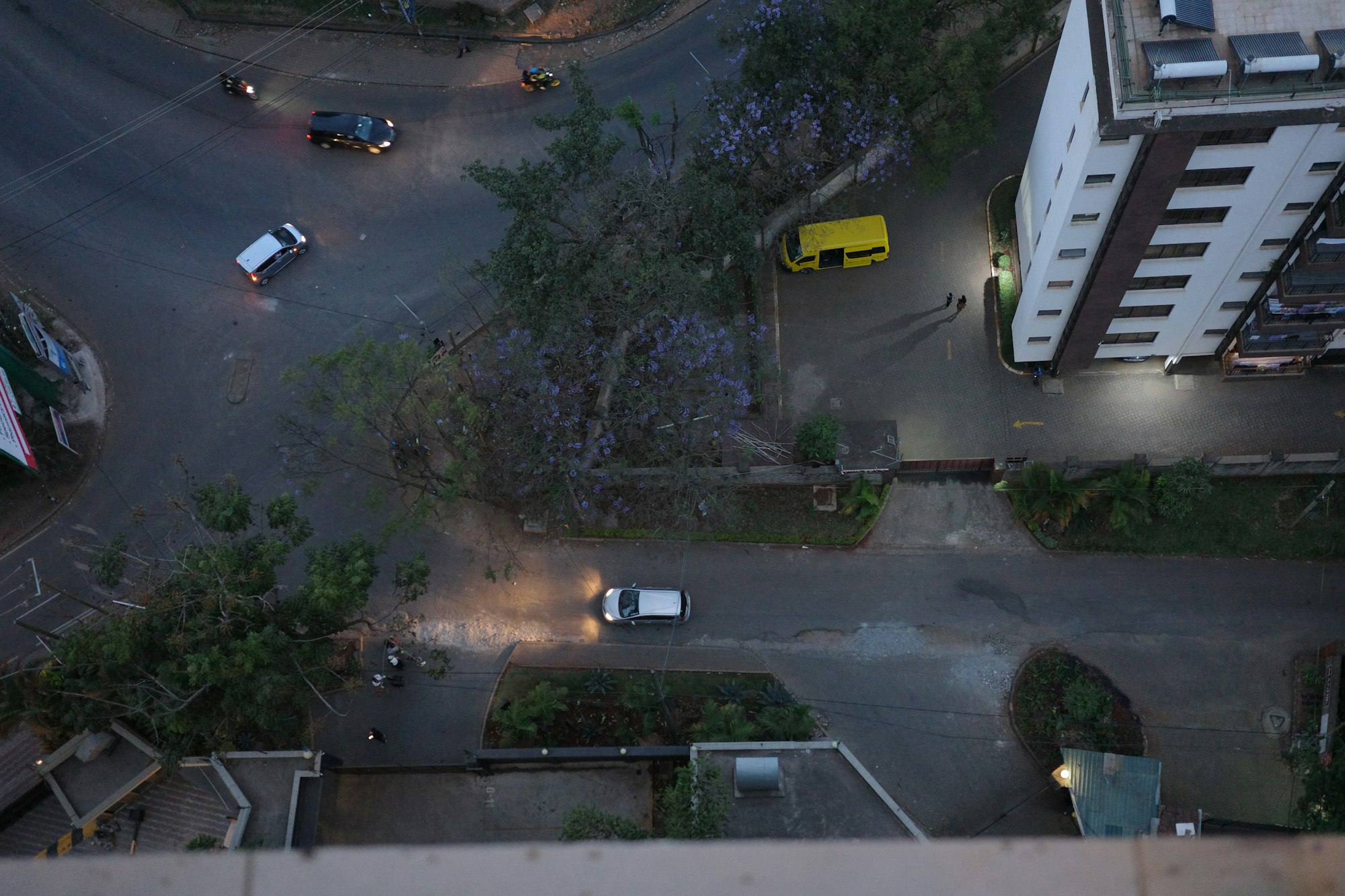A Nairobi street at dusk under jacaranda trees, seen from above